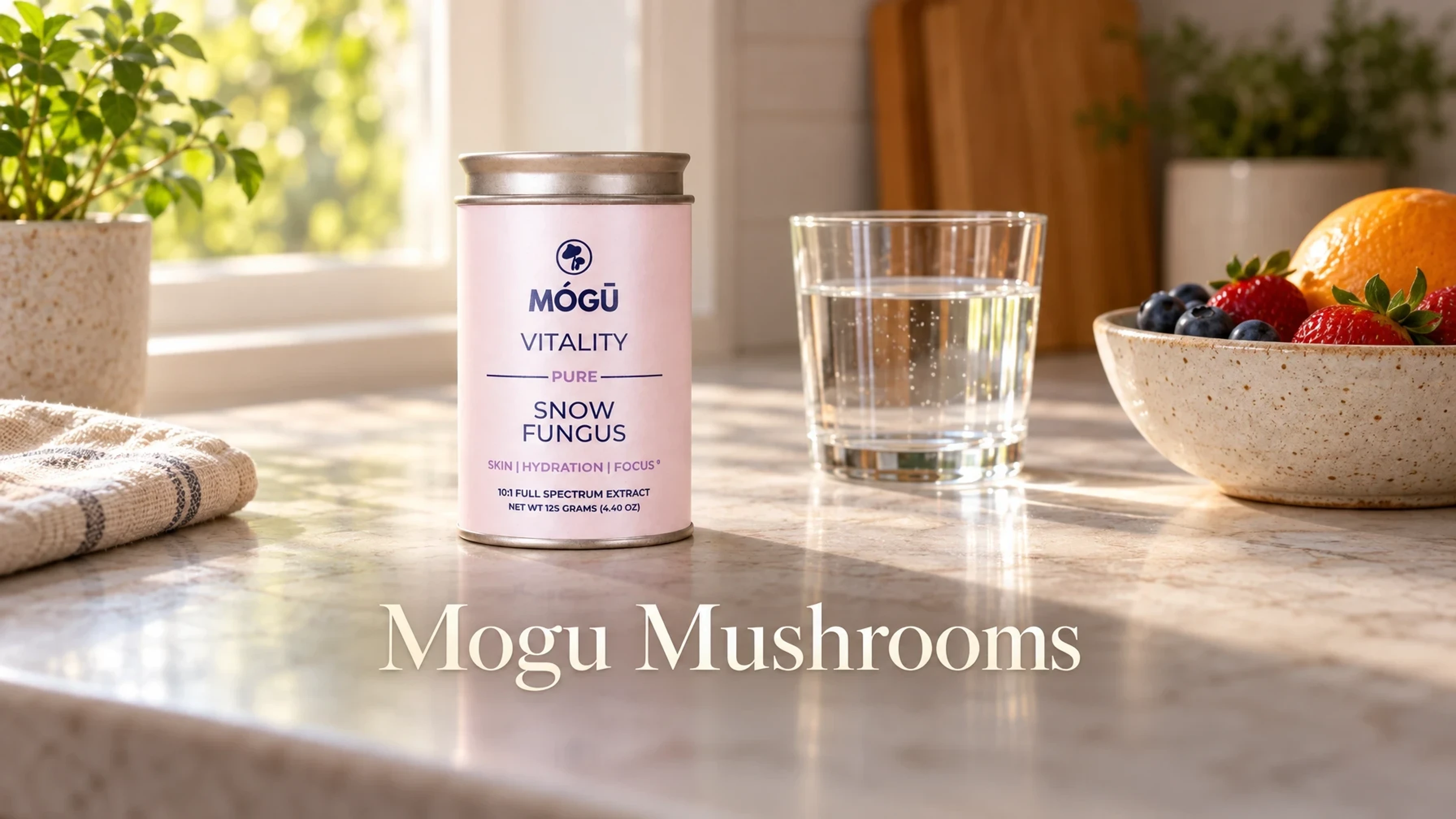 Mogu Mushrooms Organic Snow Fungus in a sunlit kitchen