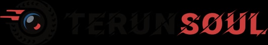TERUNSOUL logo